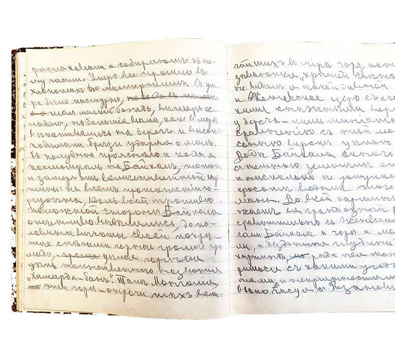 Дневник Г.Ю. Верещагина, 1916 г.